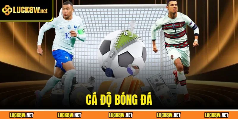 cá độ bóng đá