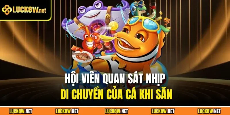 Hội viên quan sát nhịp di chuyển của cá khi săn