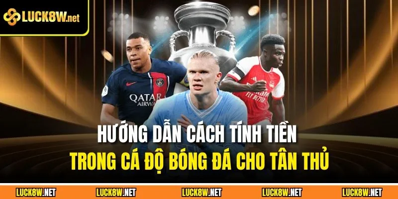 Hướng dẫn cách tính tiền trong cá độ bóng đá cho tân thủ